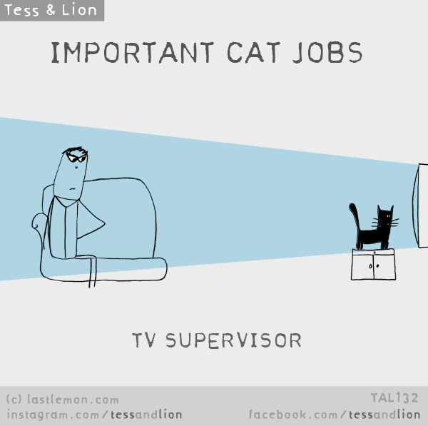 Tess and Lion: IMPORTANT CAT JOBS - TV SUPERVISOR