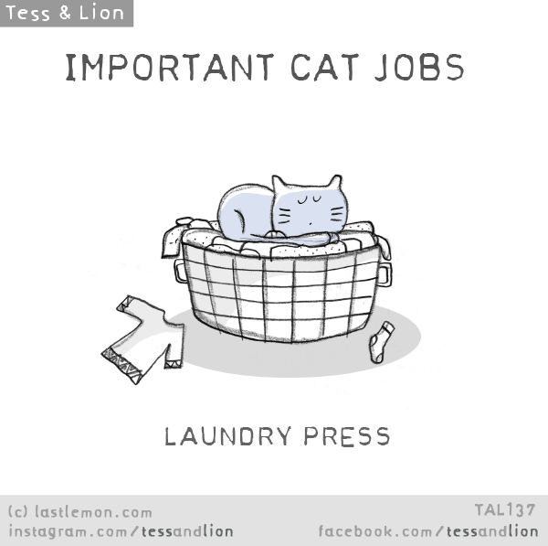 Tess and Lion: IMPORTANT CAT JOBS: LAUNDRY PRESS