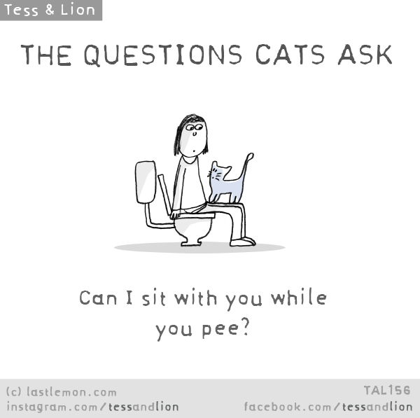 Tess and Lion: THE QUESTIONS CATS ASK: Can I sit with you while you pee?