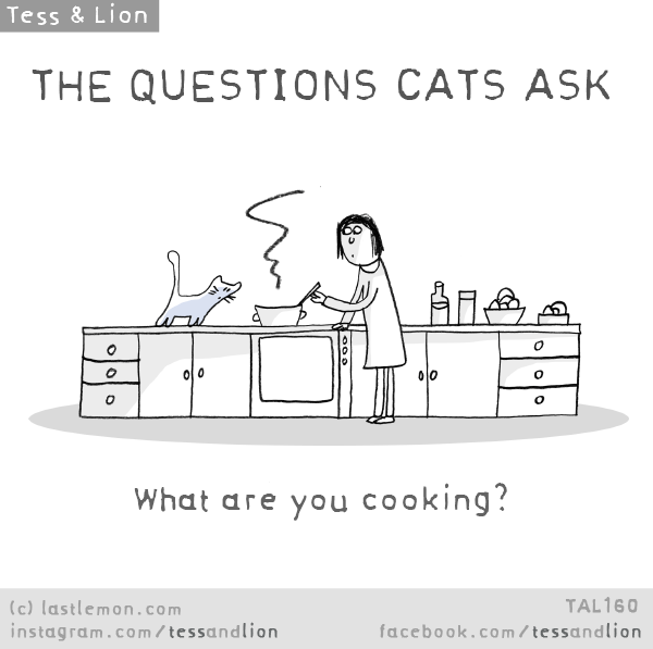 Tess and Lion: THE QUESTIONS CATS ASK: What are you cooking?