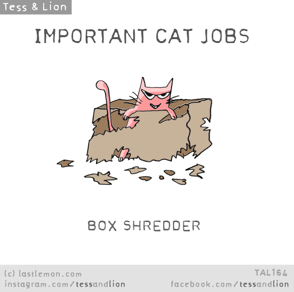 Tess and Lion: IMPORTANT CAT JOBS: BOX SHREDDER