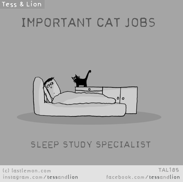 Tess and Lion: IMPORTANT CAT JOBS: SLEEP STUDY SPECIALIST
