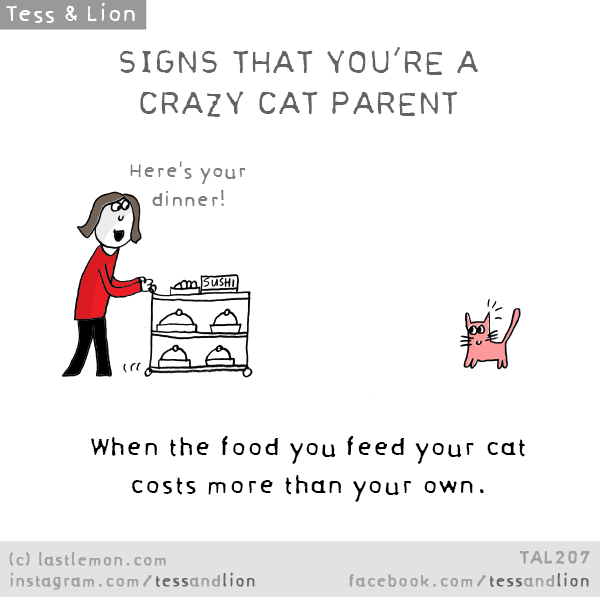 Tess and Lion: SIGNS THAT YOU’RE A CRAZY CAT PARENT: When the food you feed your cat costs more than your own.