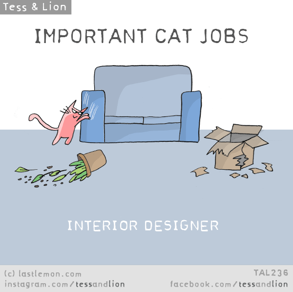 Tess and Lion: IMPORTANT CAT JOBS: INTERIOR DESIGNER