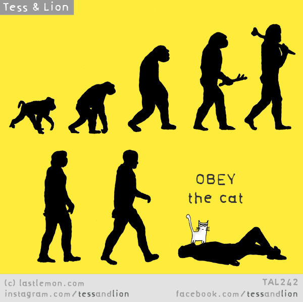 Tess and Lion: Obey the cat