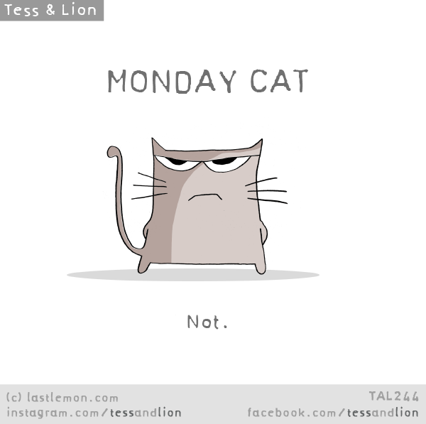 Tess and Lion: MONDAY CAT. Not.