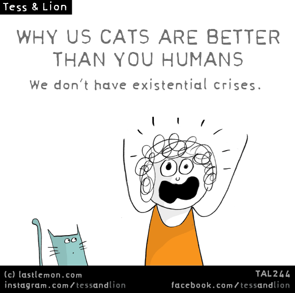 Tess and Lion: WHY US CATS ARE BETTER THAN YOU HUMANS: We don’t have existential crises.