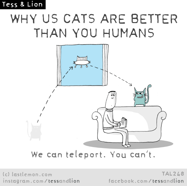 Tess and Lion: WHY US CATS ARE BETTER THAN YOU HUMANS: We can teleport. You can’t.