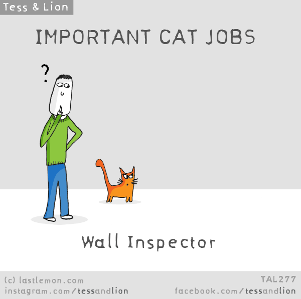 Tess and Lion: IMPORTANT CAT JOBS: Wall Inspector