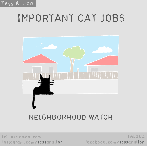 Tess and Lion: IMPORTANT CAT JOBS: NEIGHBORHOOD WATCH