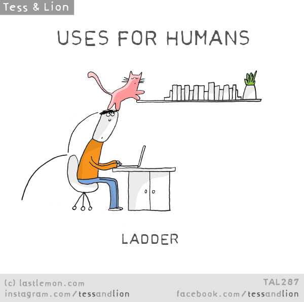 Tess and Lion: USES FOR HUMANS: LADDER