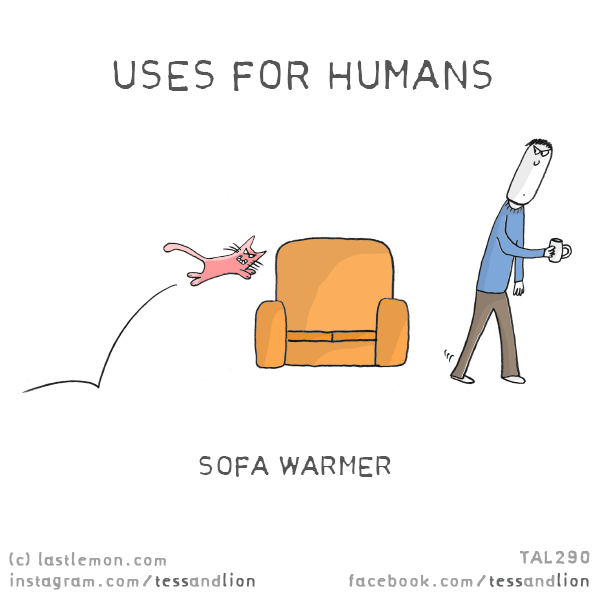 Tess and Lion: USES FOR HUMANS: SOFA WARMER