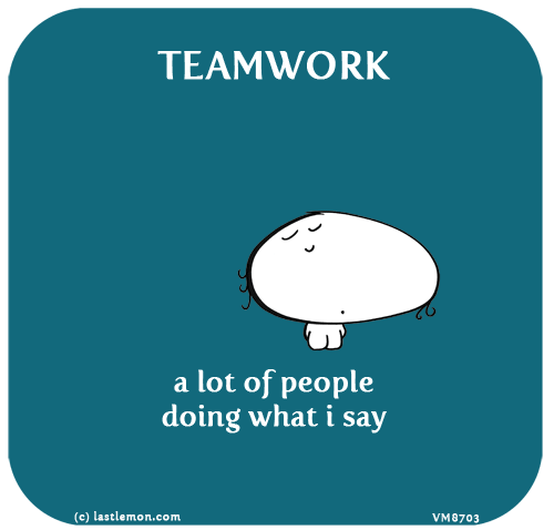 Vimrod: TEAMWORK: A lot of people doing what I say

