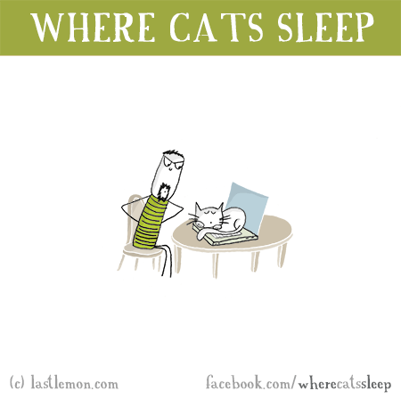 Cats...: Where Cats Sleep