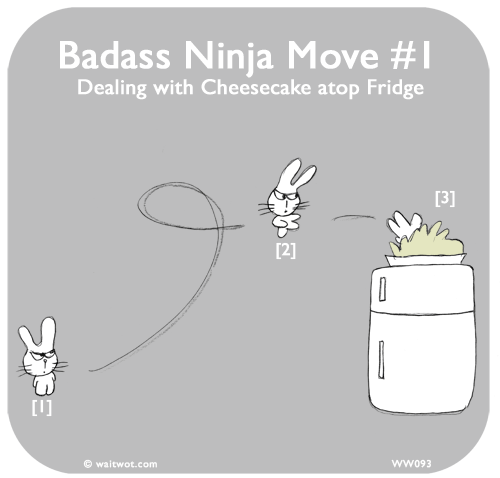 Waitwot: Badass Ninja Move #1: Dealing with Cheesecake atop Fridge